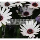큰길공인중개사사무소 이미지