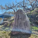 길손농원 | 광양 여행, 하얀 매화 물결이 아름답다, 섬진강 "광양 매화마을"