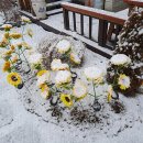 남이섬리베라펜션 이미지