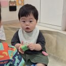 보글보글