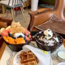 월피파출소 | 안산 애견동반 서울예대카페 예술다방에서 빙수를 먹었어요