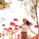 평화로운세상 이미지