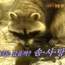 한상궁 왕족발 이미지