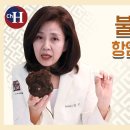 불면증치료와 항암치료 때 도움을 주는 '복령'효능 조회수 2.6만회 4년 전 이미지