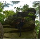 사천송림 이미지