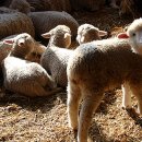 도계3리 이미지