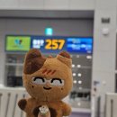 인천공항 후쿠오카 공항 정보 :: 무료 셔틀버스 및 선물용 크로와상 추천, 진에어 탑승 후기