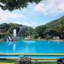 신흥수영장 내 | [신흥레저타운 워터월드] 아이부터 어른까지 놀기 좋은 취사가능수영장 꿀팁/명당 포함 내돈내산 후기