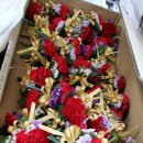 현대프라자 이미지