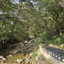 상하민박팬션 | [전남 구례 여행] 여유가 느껴지는 도시 구례, 고찰 사성암 가는 팁, 부부식당 대기 팁