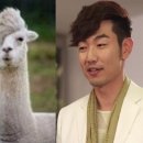 라마 - 파주시 청석로 260 | 라마