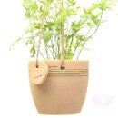 황토시루 이미지