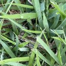 보리네민박(Borizzam_house) 이미지