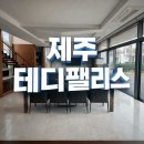 제주 안덕농업협동조합사계지점 | 제주 테디팰리스리조트와 제주도 세컨하우스 완벽 가이드