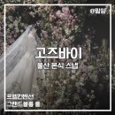 4796 | W_4. 울산 본식 스냅 | 고즈바이 스냅 르엘컨벤션 그랜드볼룸 홀 계약 후기 (제휴 업체 비교)