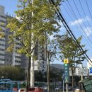 문예로 | 11월 일상