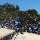 성지농원 이미지