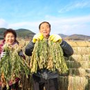 시래기밥상