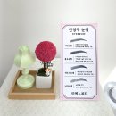 미엔느뷰티 네이버블로그