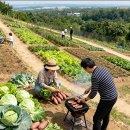 적음농장 이미지