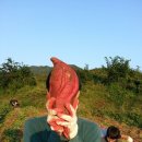 규남농장 이미지