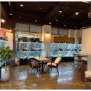 수원강아지분양 드림독 안심분양센터 수원점 이미지