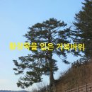 신기치안센터 이미지