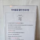 [제주 조천] 구옥을 리모델링한, 마당이 있는 제주 애견동반 카페, 이녁이랑 솔직후기