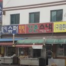 강촌꽃돼지