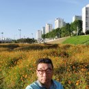 명동당구장 이미지