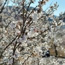 춘양면사무소 이미지