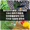 광주강아지분양 고양이분양 24시 데려가개본점 | 광주강아지분양 고양이분양 24시 데려가개본점, 반려동물분양의 진짜 가치와 믿음에 관하여