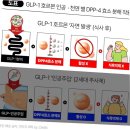 애사비 진짜 효과 있을까 한 달 마신 내돈내산 후기