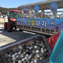만차이 | 아이랑 영종 마시안갯벌체험장/주말방문 후기(이용료,주차)