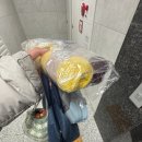 와이티인터내셔날