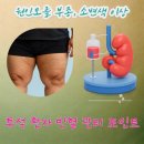 금정약국 - 군포시 산본천로 222 | 금정약국