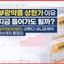 (주)서울유니온약품 | 부광약품 상한가 이유, 지금 들어가도 될까? 실적 턴어라운드·라투다·유니온제약 인수까지 총정리