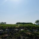 장남면사무소 | [연천] 가볼만한 곳 - 호로고루 / 지금은 청보리 시즌 , 가을엔 해바라기를 보며 산책하기