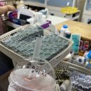 대룡산약국 이미지