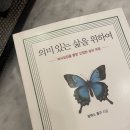 스테이 도채비꽃 | 2023년 기록