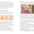 미국 수리논술 교과서 형(초등 논술) 그대로..총 120세트 한정 판매 이미지