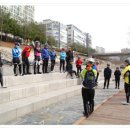 저단29 네이버블로그