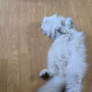 큰애기주막 이미지