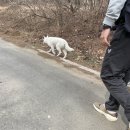 스퀘어독스 서산점 이미지