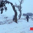 영화마을 이미지