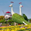 태안군, 추석 명절 볼거리 다양하게 열린다(서산태안TV) 이미지