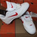 미광 카센타 이미지