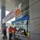 수지구청 광장 | 수지구 나무 나눠주기 후기｜현장 줄 상황 + 꽃화분 2개 실제 수령 후기