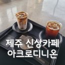 아크로디니온 | 제주 신상 카페, 힙하고 사진찍기 좋은 아크로디니온 방문후기〰️