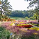 신흥정수장 이미지